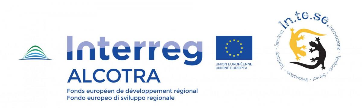 Logointeseecsea